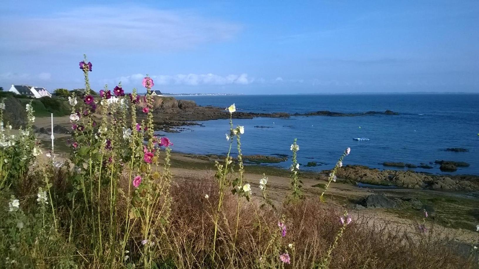 Ker-Ar-Mor Village Vacances Clohars-Carnoet Bagian luar foto